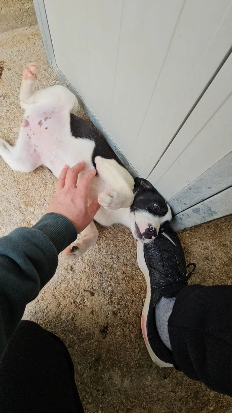 PHOTO-2026-03-21-07-21-34 3.jpg