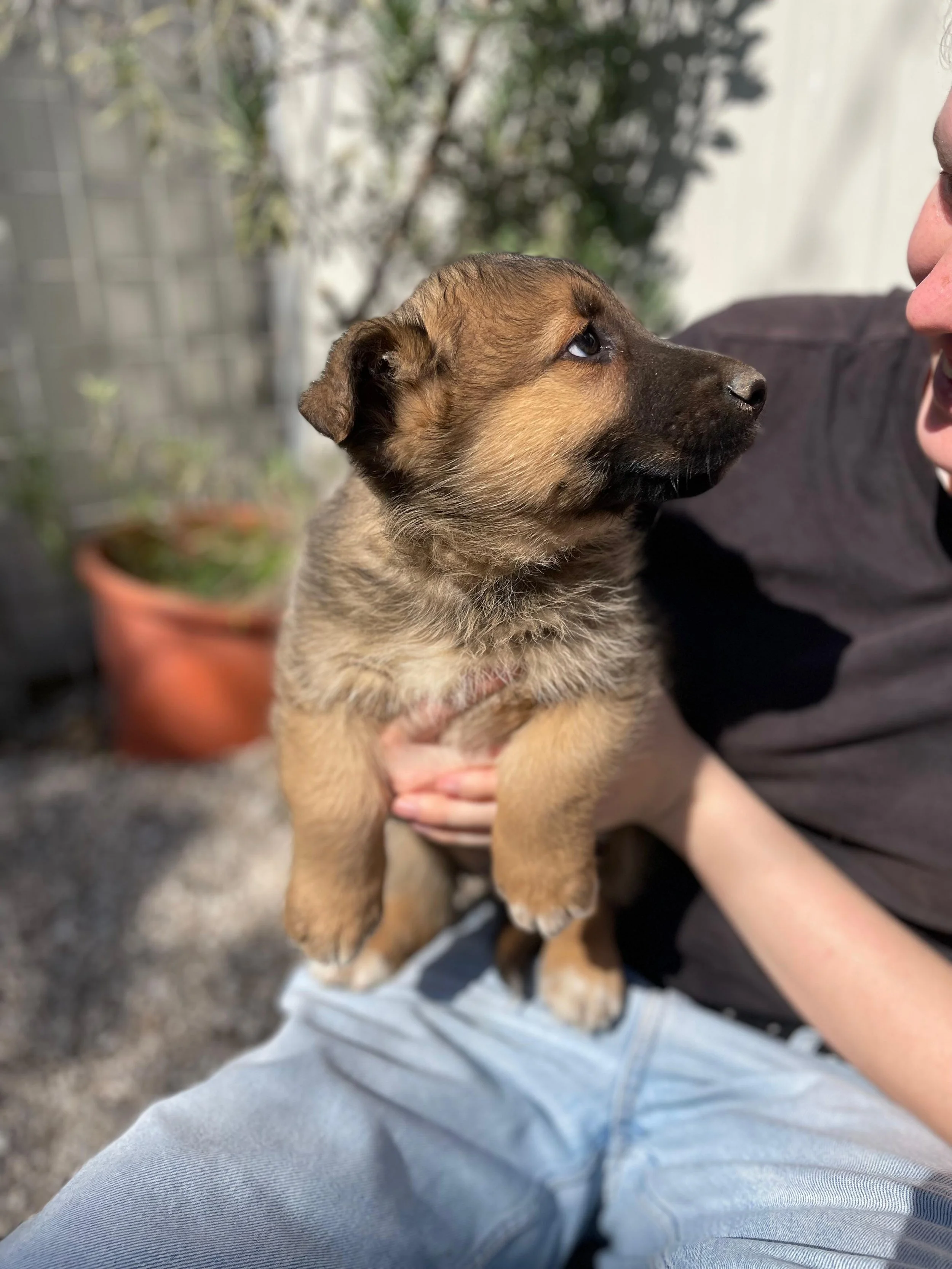 PHOTO-2026-03-11-14-15-26 5.jpg