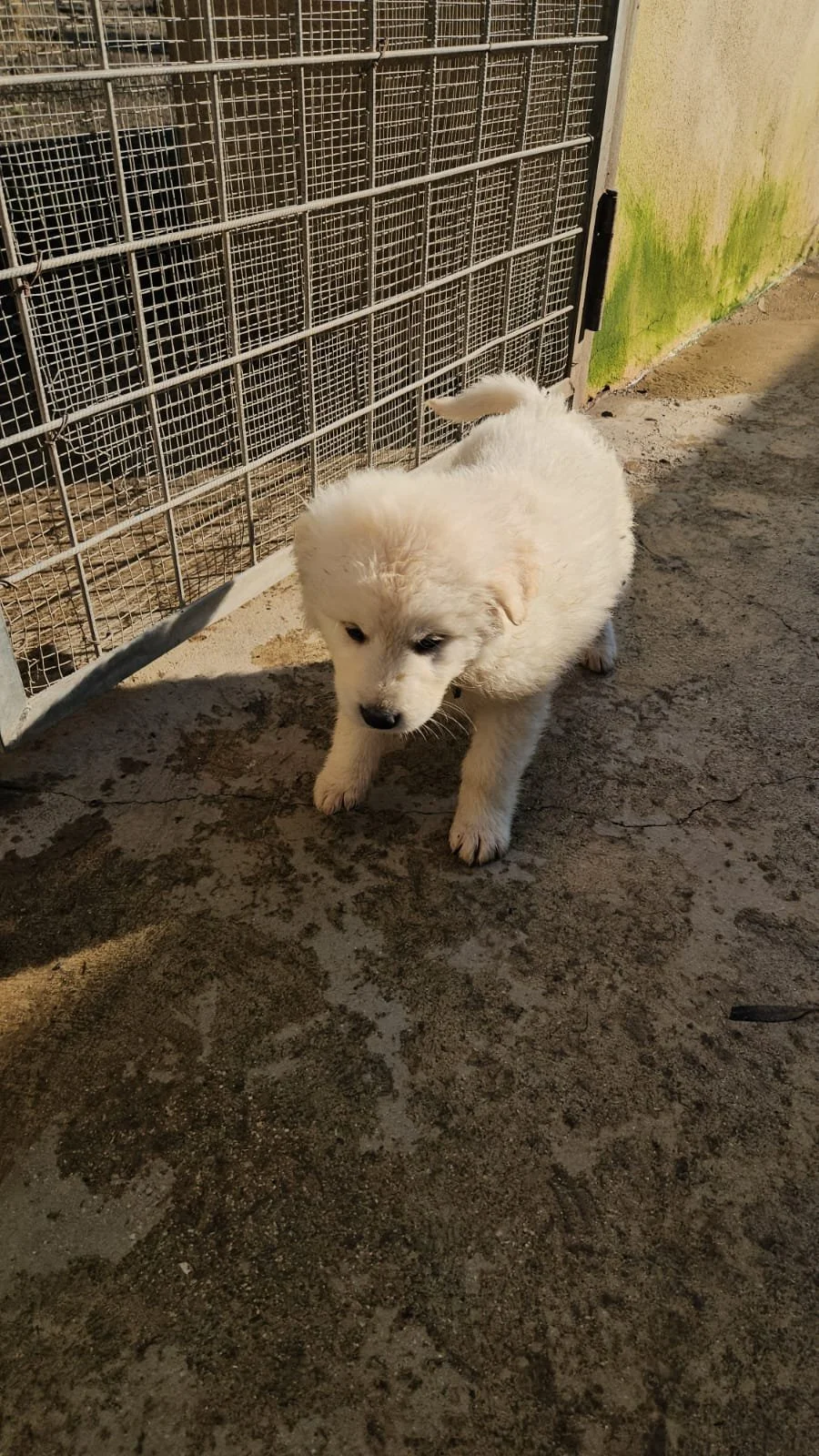 PHOTO-2025-12-10-12-26-23 2.jpg