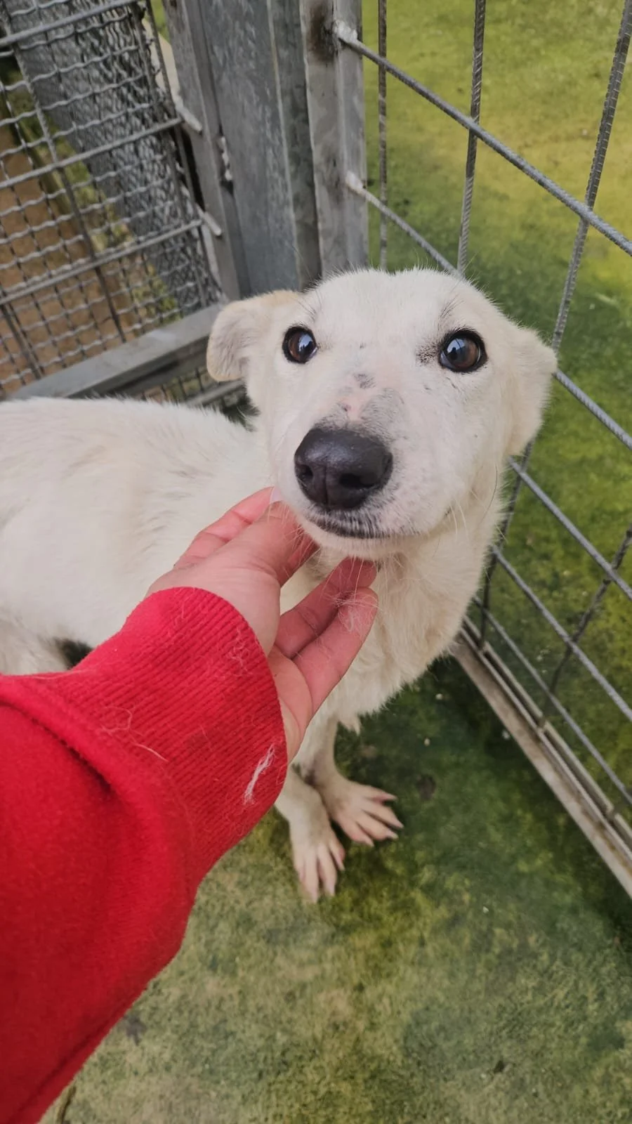 PHOTO-2026-01-22-10-12-14 4.jpg