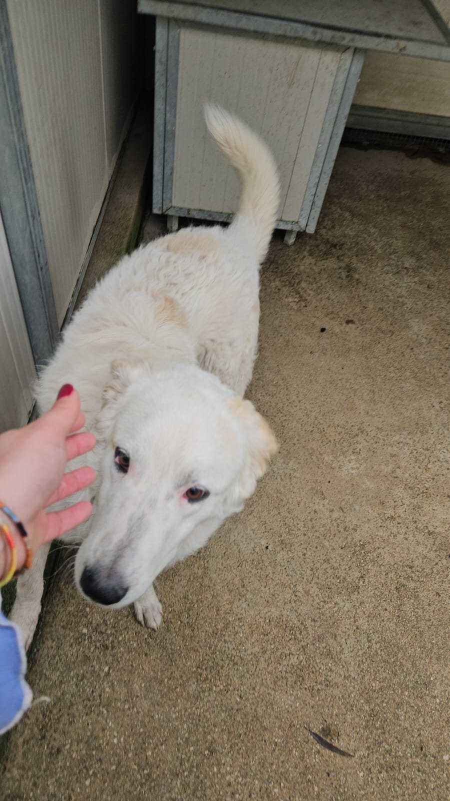 PHOTO-2026-01-07-15-24-13 6.jpg