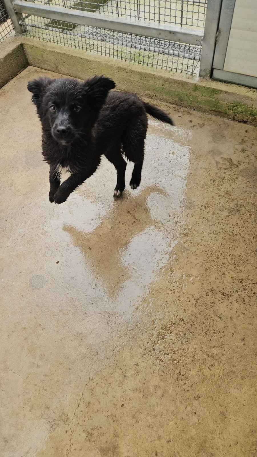 PHOTO-2026-04-09-09-40-50 2.jpg