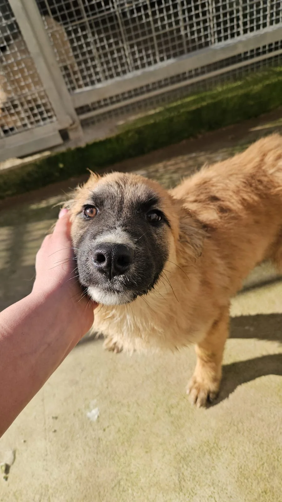 PHOTO-2026-02-02-12-38-08 3.jpg