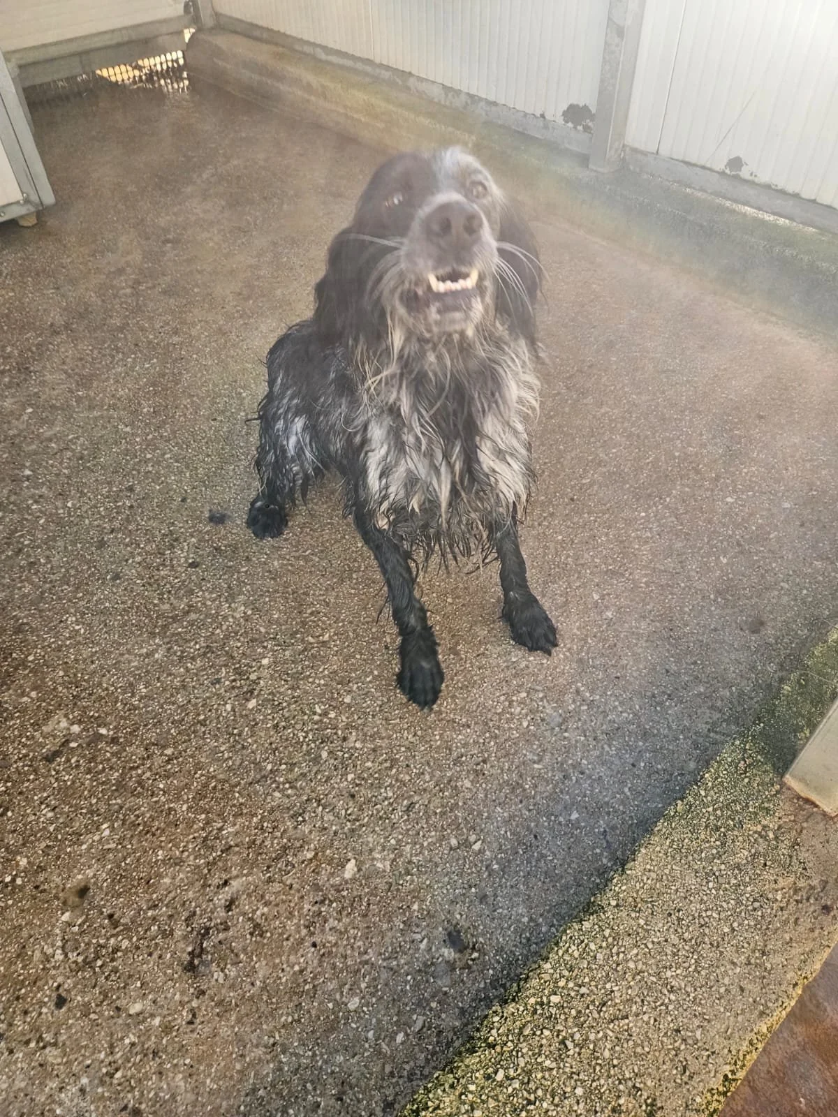 PHOTO-2026-02-03-11-34-06 2.jpg