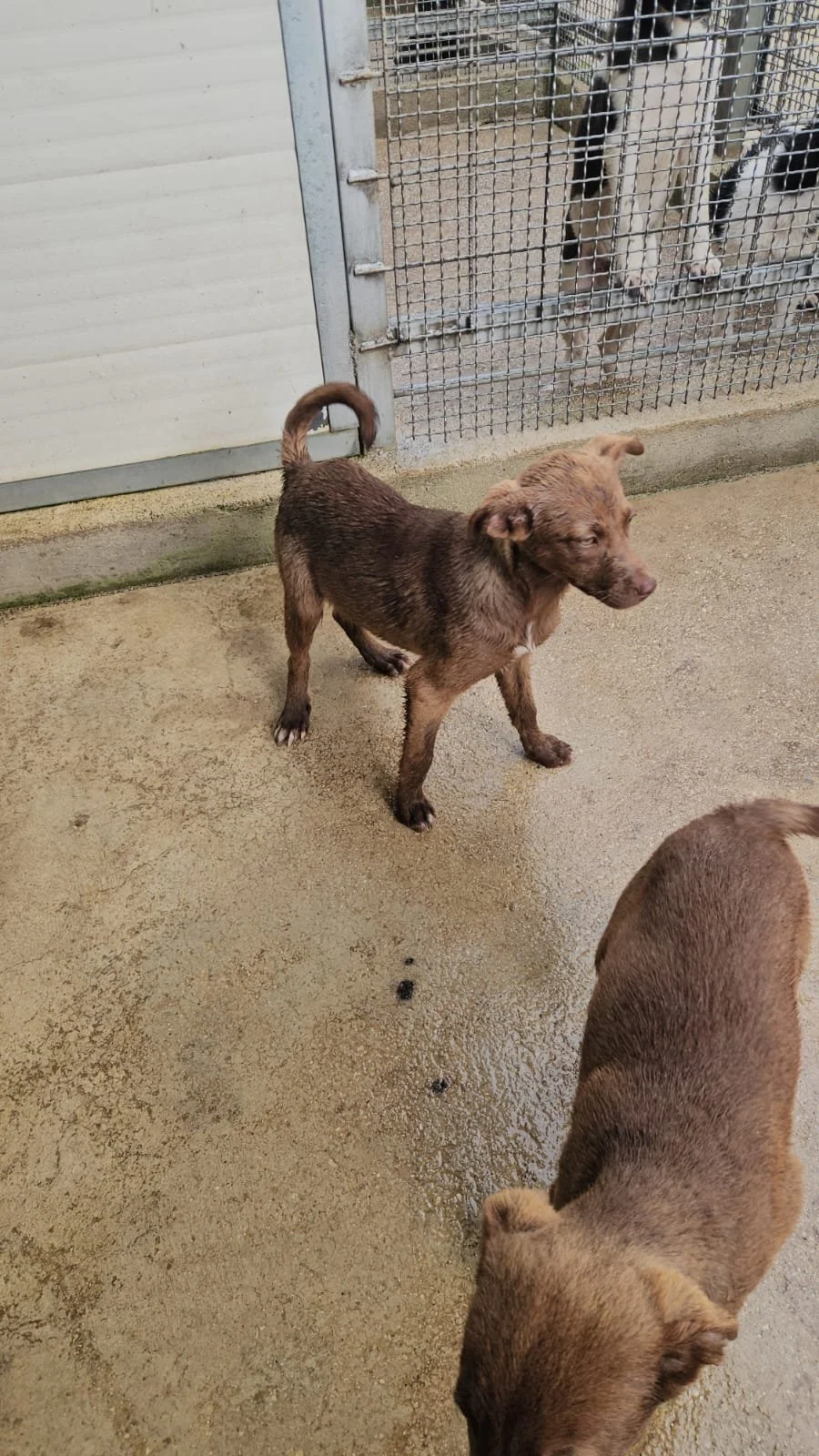 PHOTO-2026-04-09-09-44-51 3.jpg