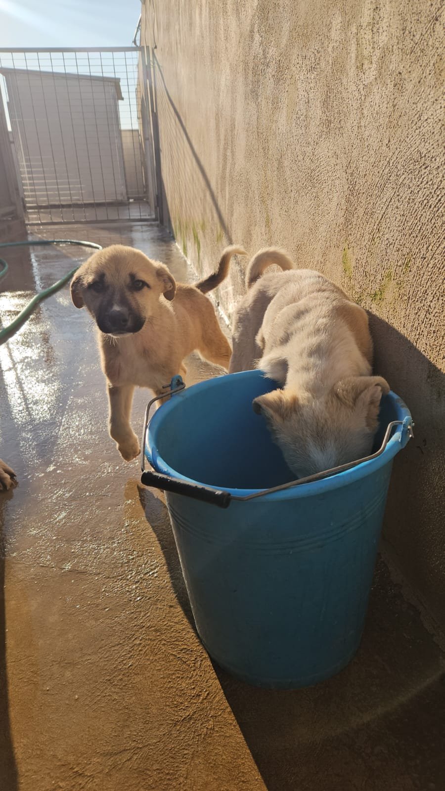 PHOTO-2026-02-02-08-56-47 3.jpg