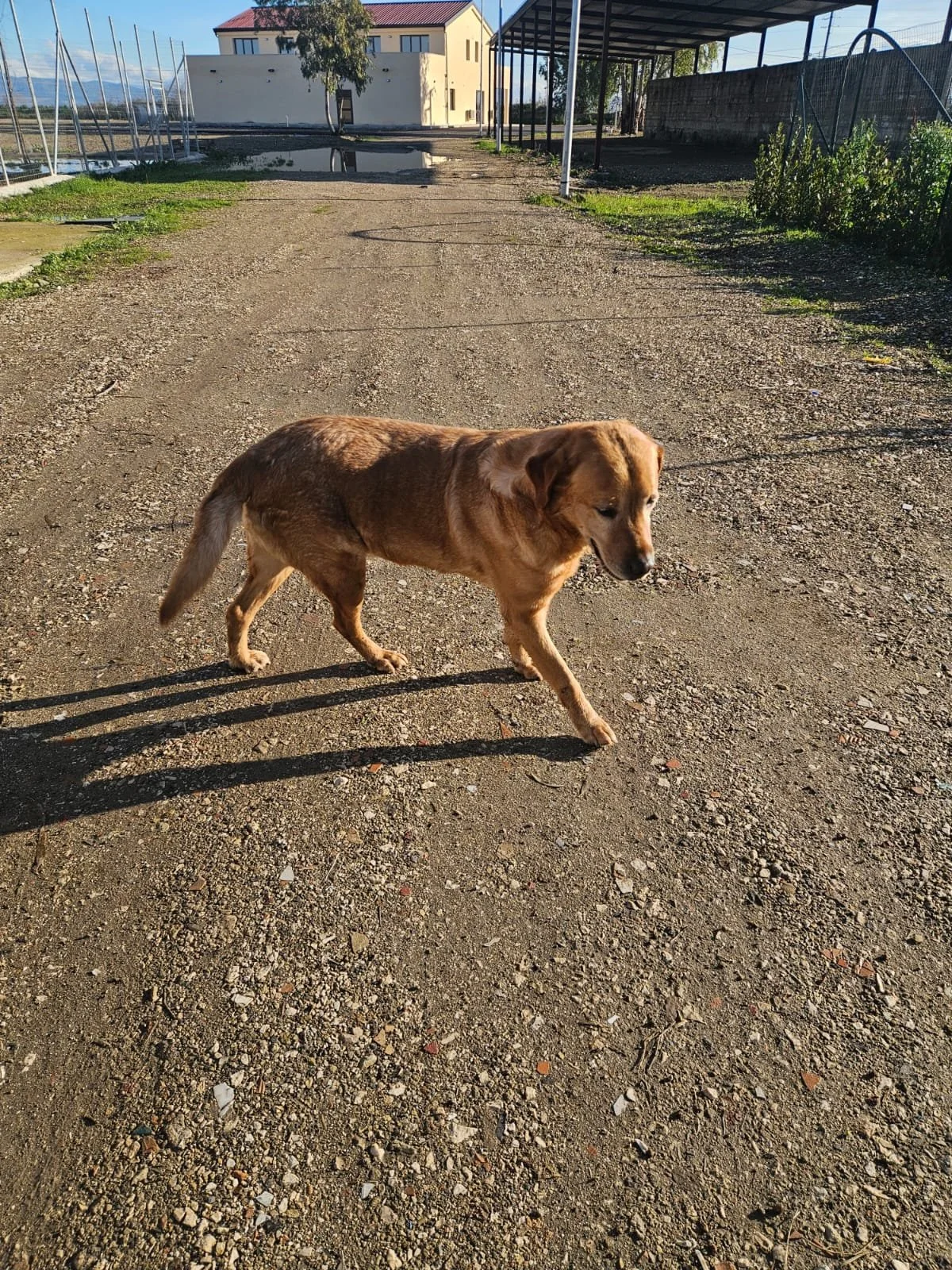 PHOTO-2026-02-03-11-53-50 4.jpg