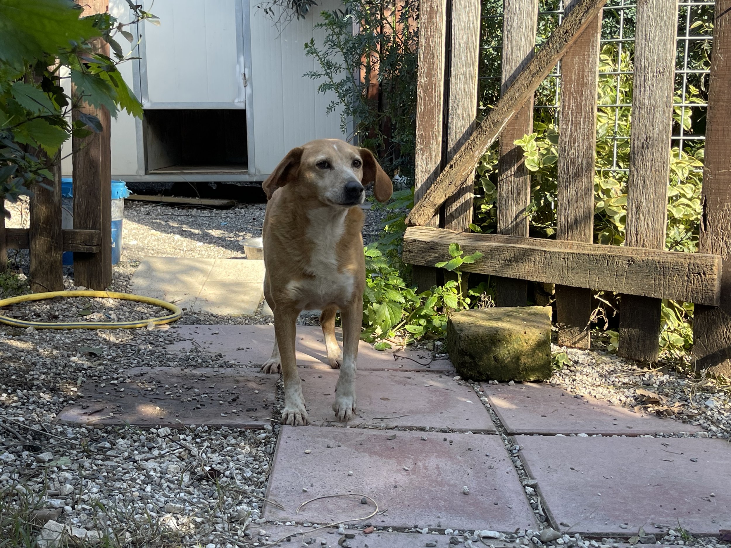 IMG_0039.jpeg