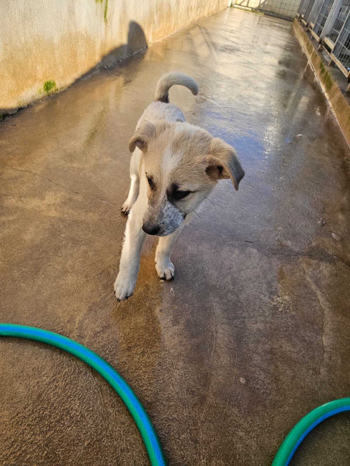 PHOTO-2026-02-02-08-56-48 3.jpg