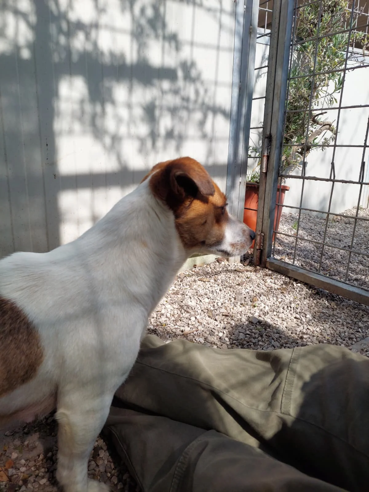 PHOTO-2026-03-11-14-28-49 4.jpg