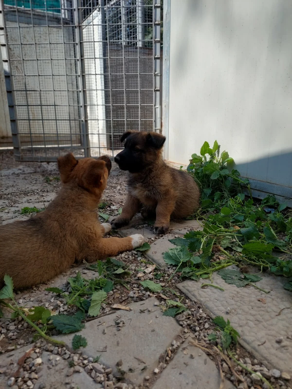 PHOTO-2026-03-11-14-16-02 3.jpg