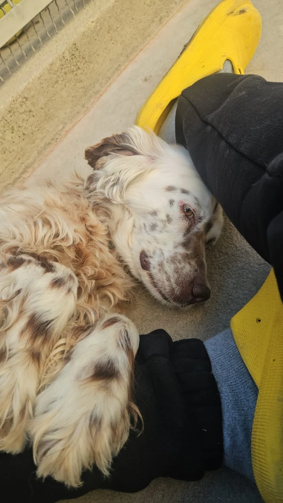 PHOTO-2026-04-27-18-32-08 2.jpg