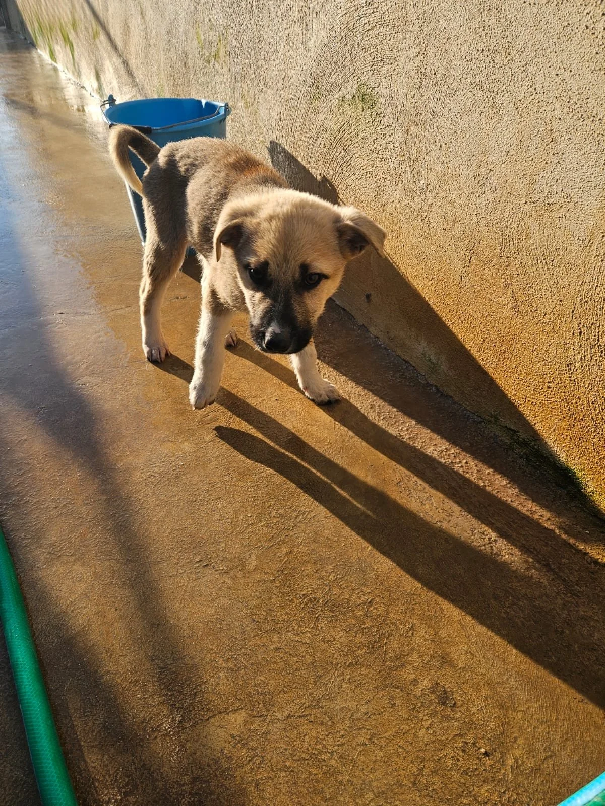 PHOTO-2026-02-02-08-56-49 3.jpg