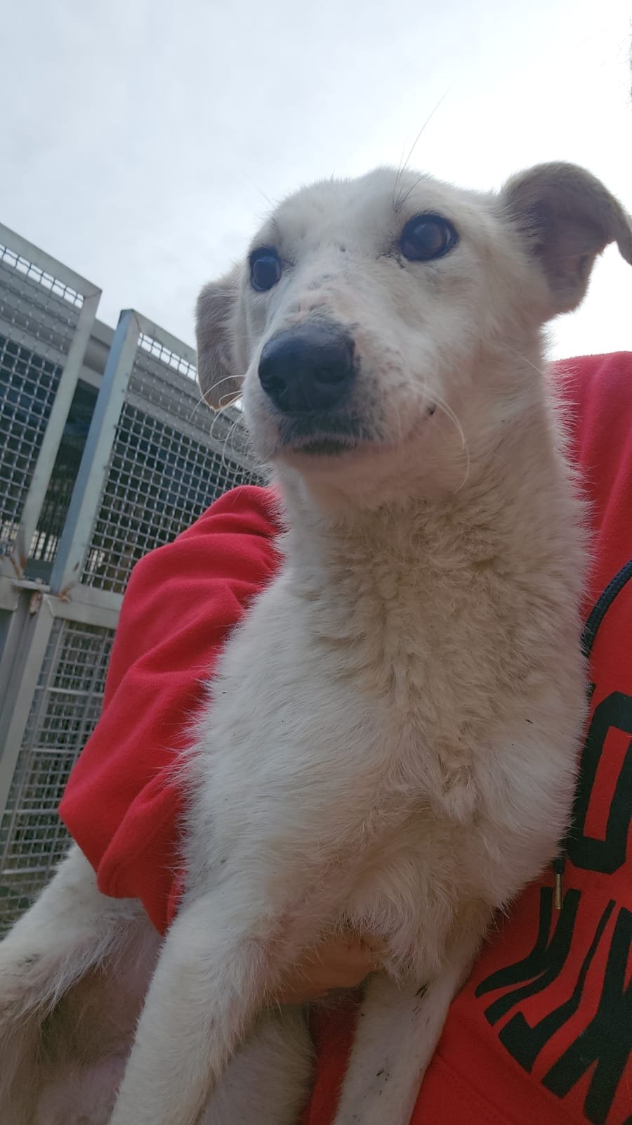 PHOTO-2026-01-22-10-12-16 4.jpg