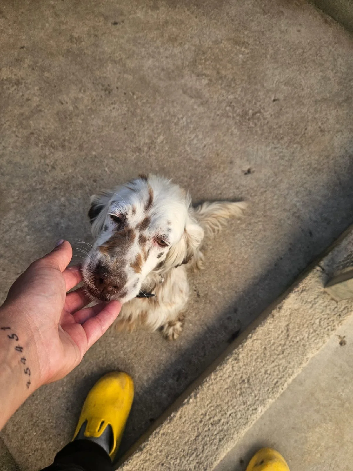 PHOTO-2026-04-27-18-32-13 2.jpg