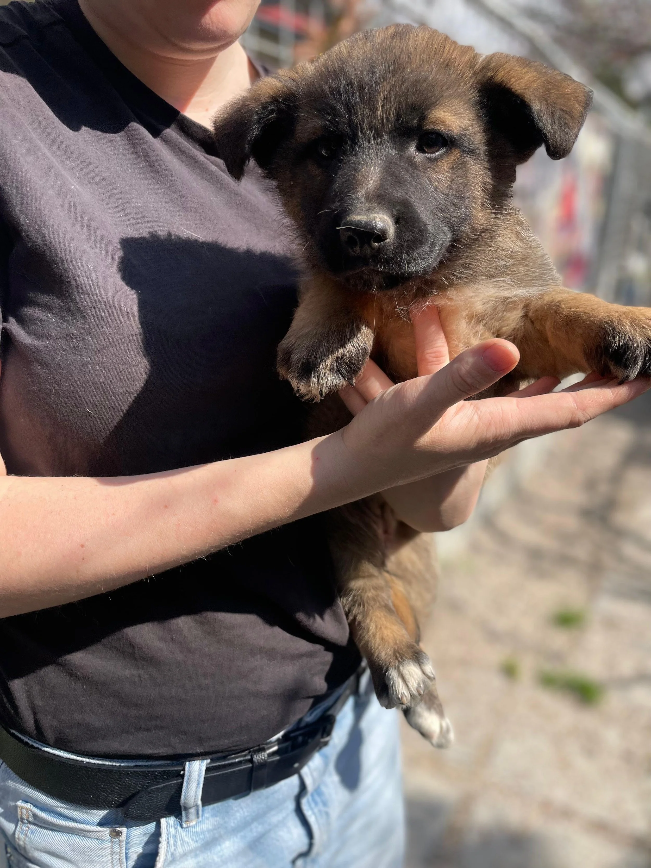 PHOTO-2026-03-11-14-18-27 2.jpg