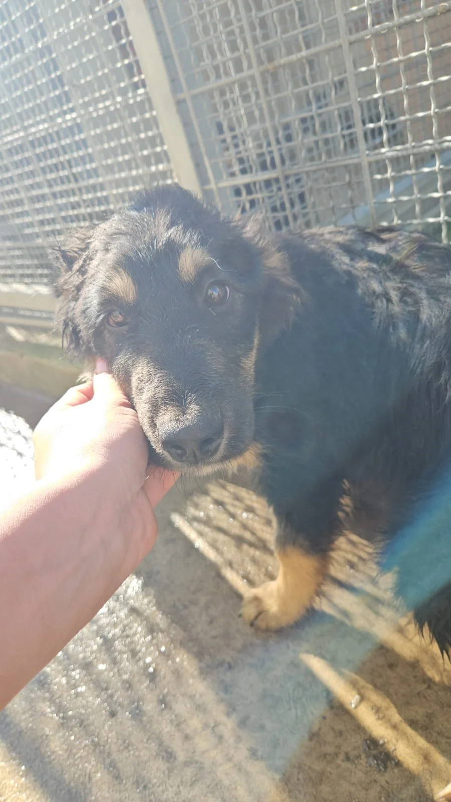 PHOTO-2026-02-02-12-38-33 2.jpg