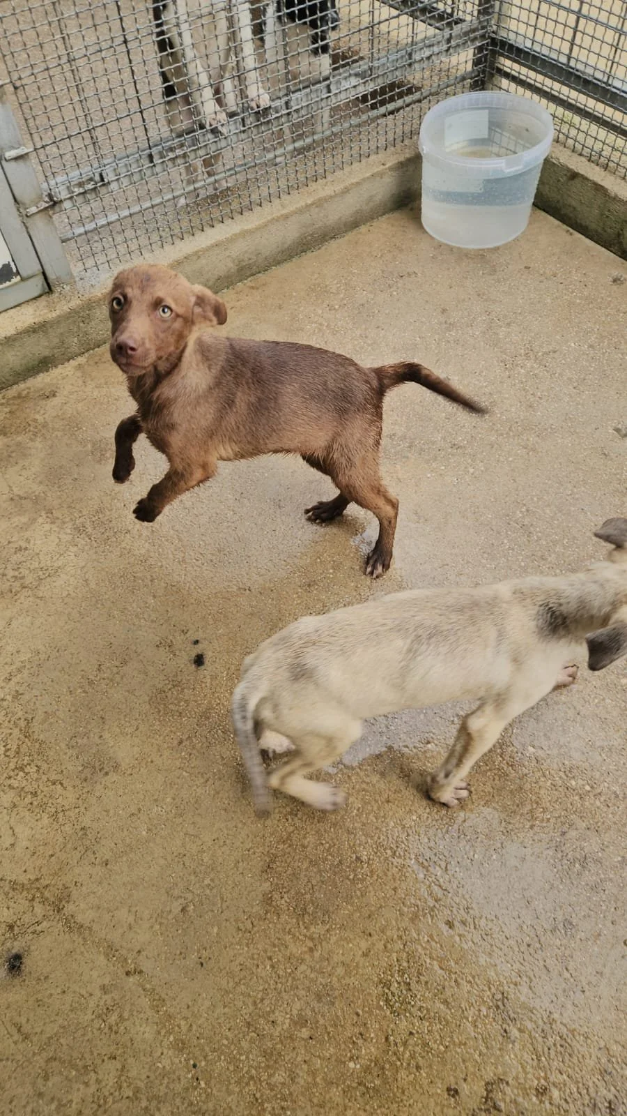 PHOTO-2026-04-09-09-44-52 2.jpg