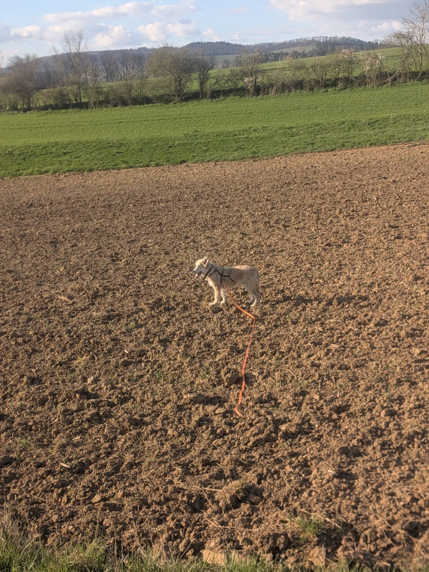 PHOTO-2026-03-27-19-52-47 3.jpg