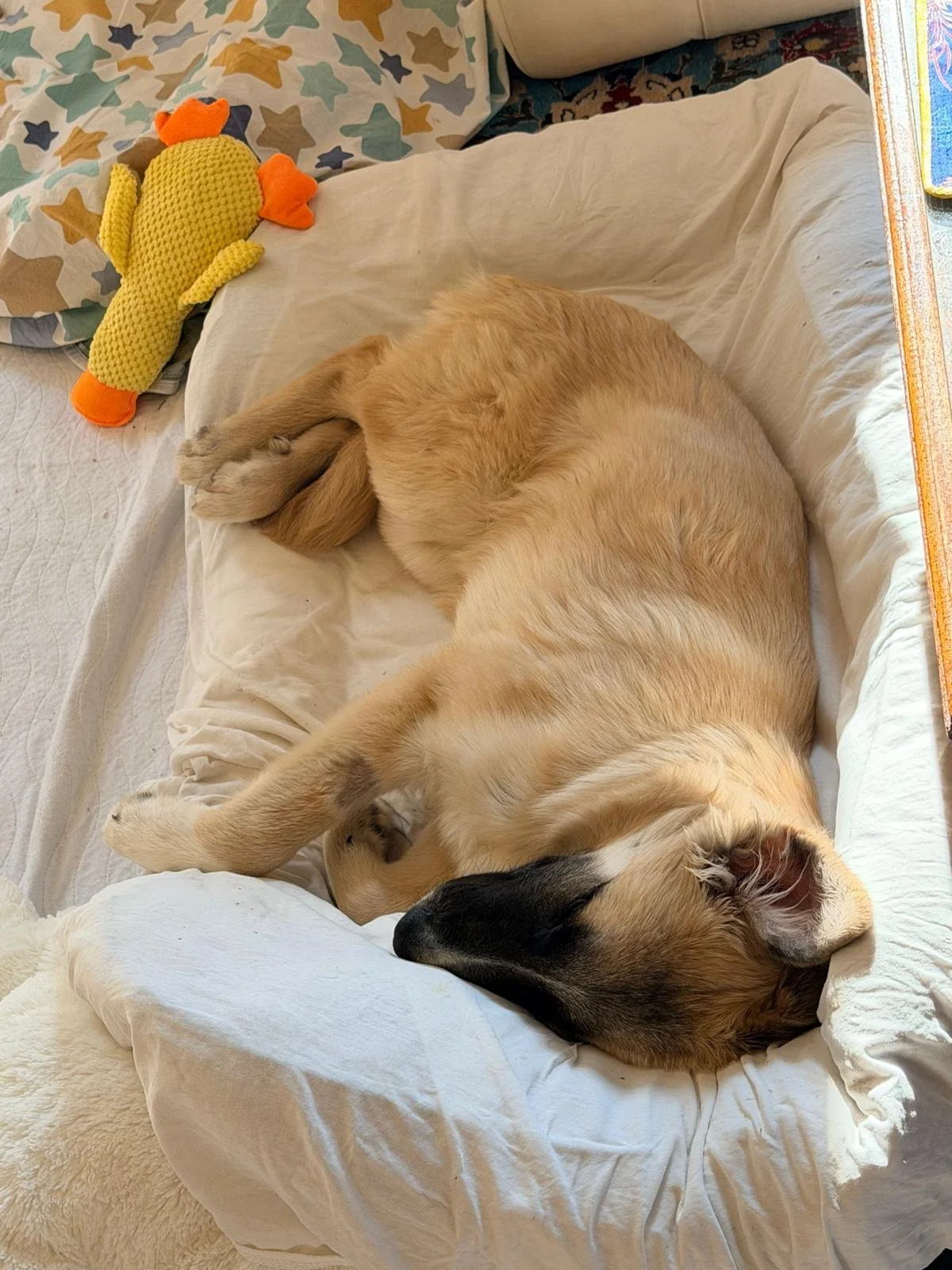 WhatsApp Image 2026-04-11 at 16.59.40 (2).jpeg