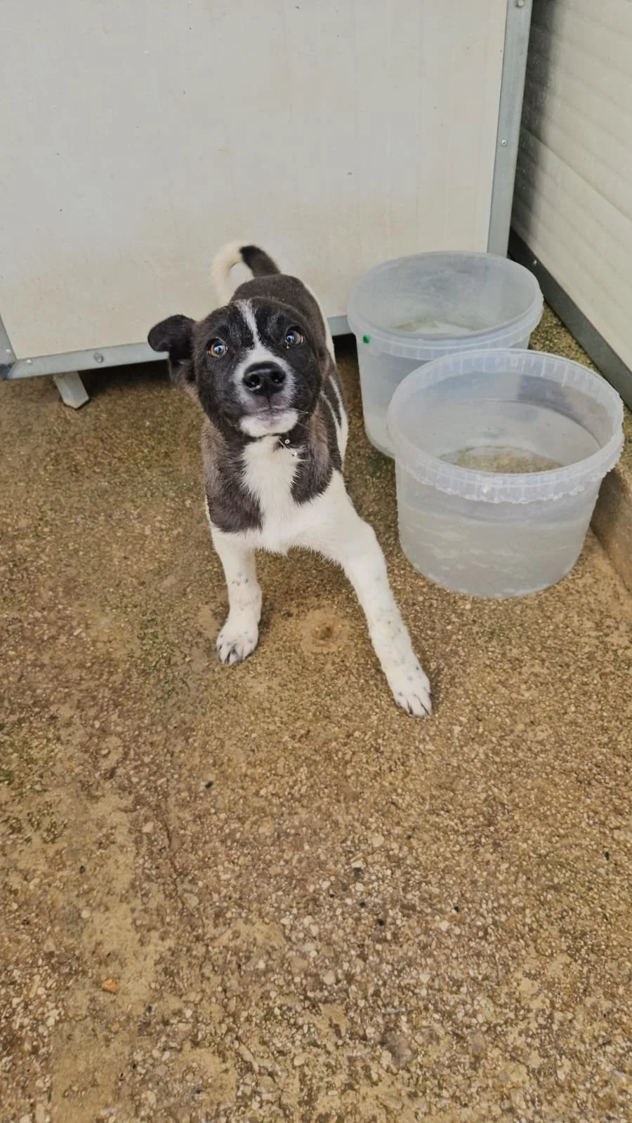 PHOTO-2026-04-09-09-34-32 5.jpg