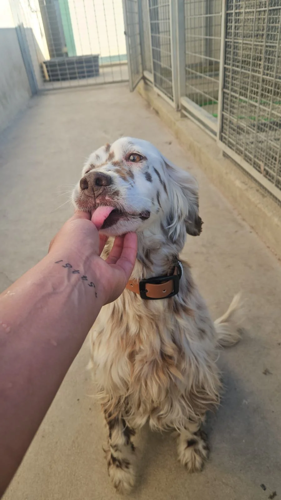 PHOTO-2026-04-27-18-32-13 3.jpg