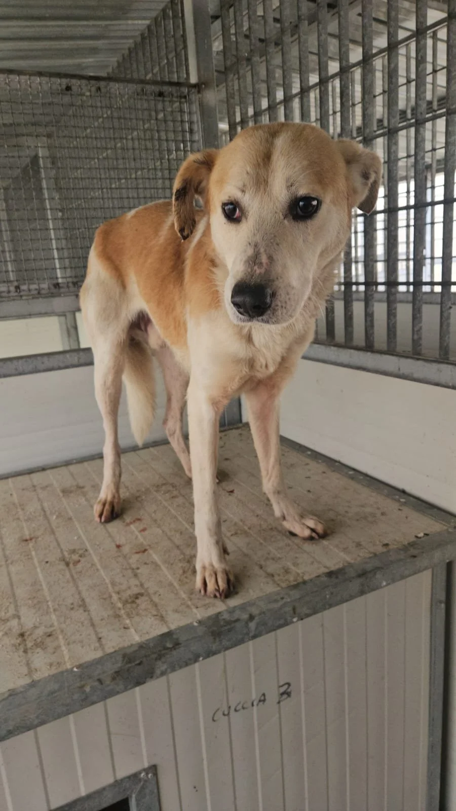 PHOTO-2026-01-22-10-13-42 2.jpg