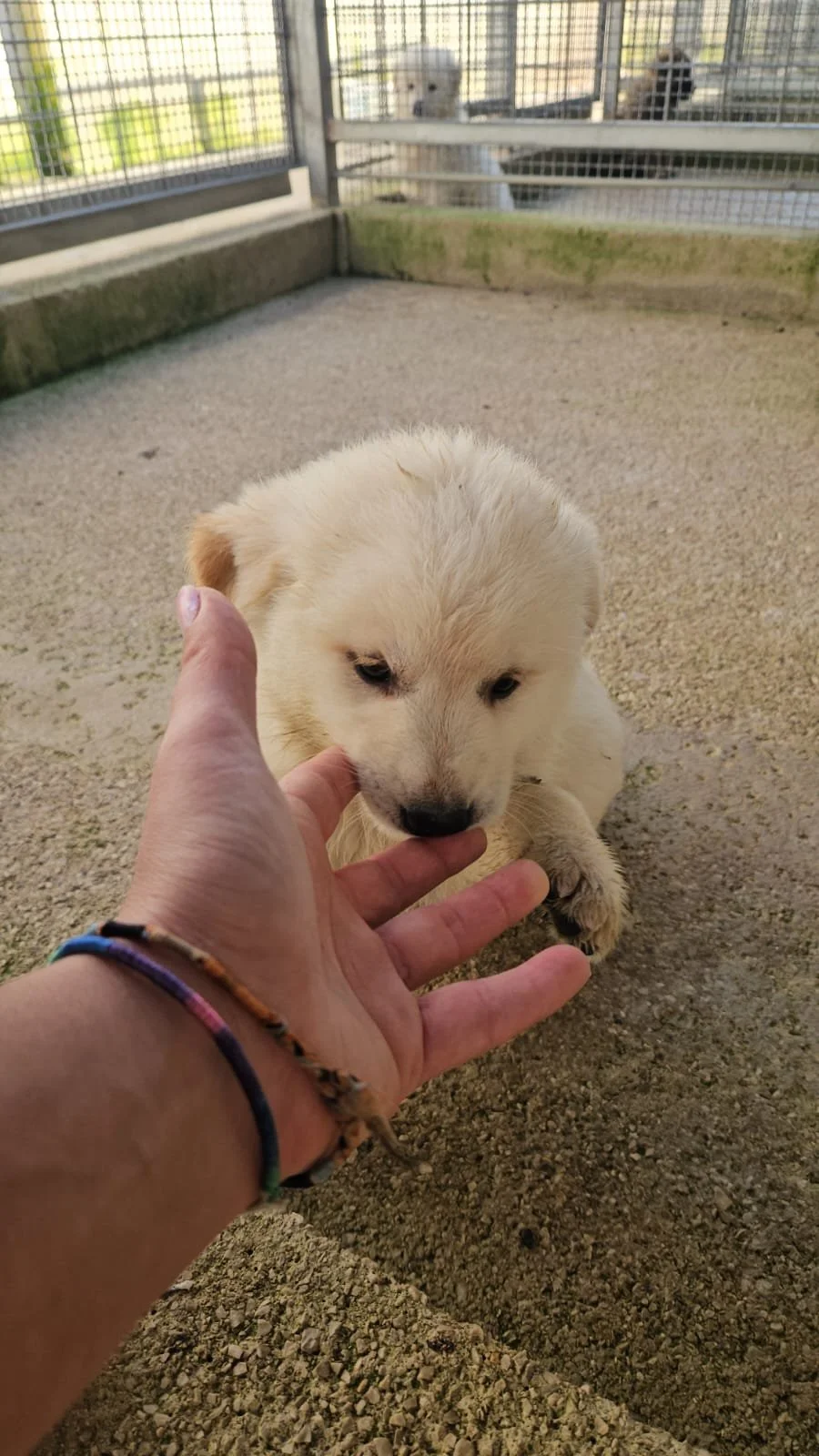 PHOTO-2025-12-10-12-30-12 2.jpg