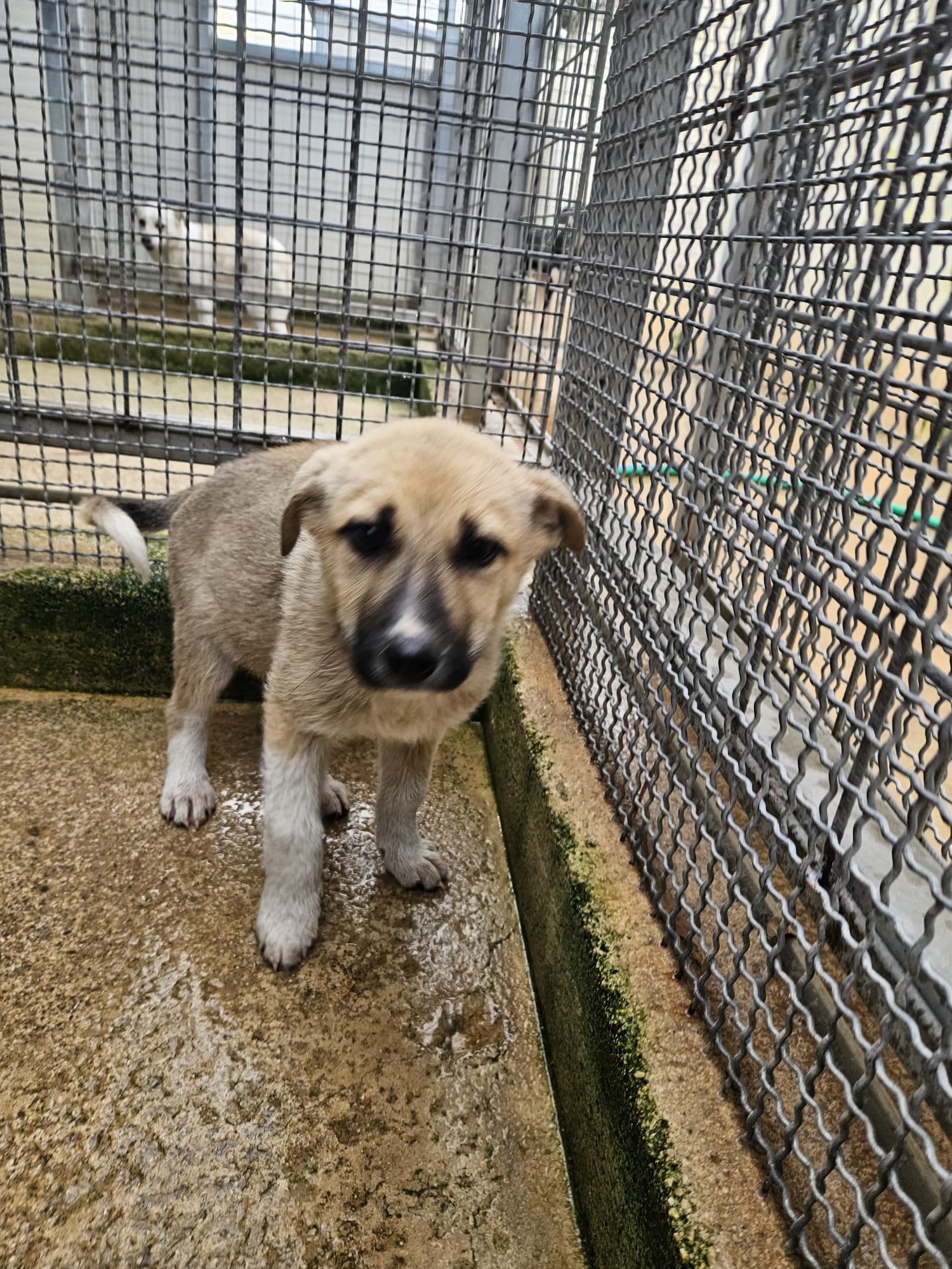 PHOTO-2026-01-20-09-41-15 3.jpg