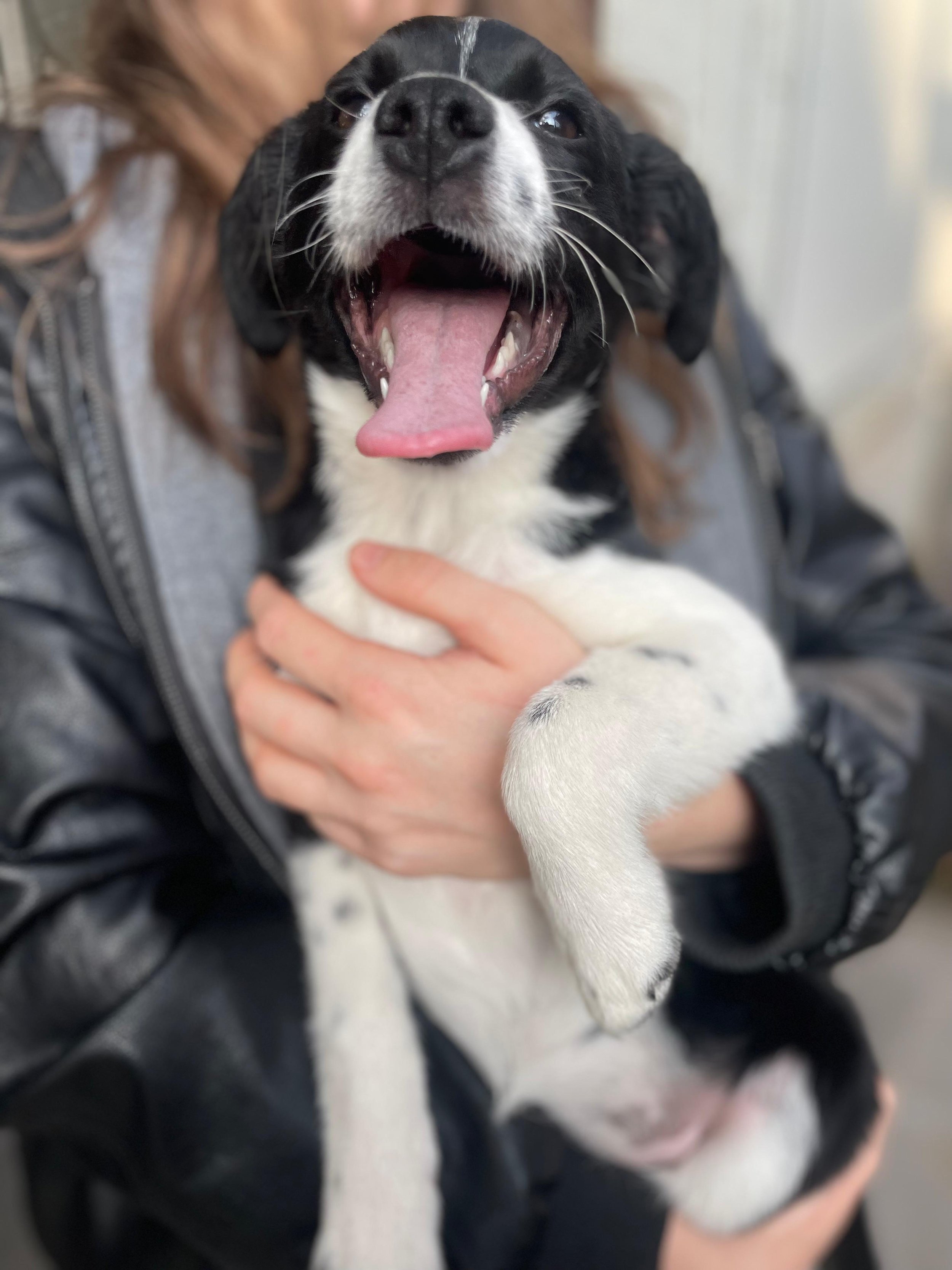 PHOTO-2026-03-11-14-45-36 4.jpg