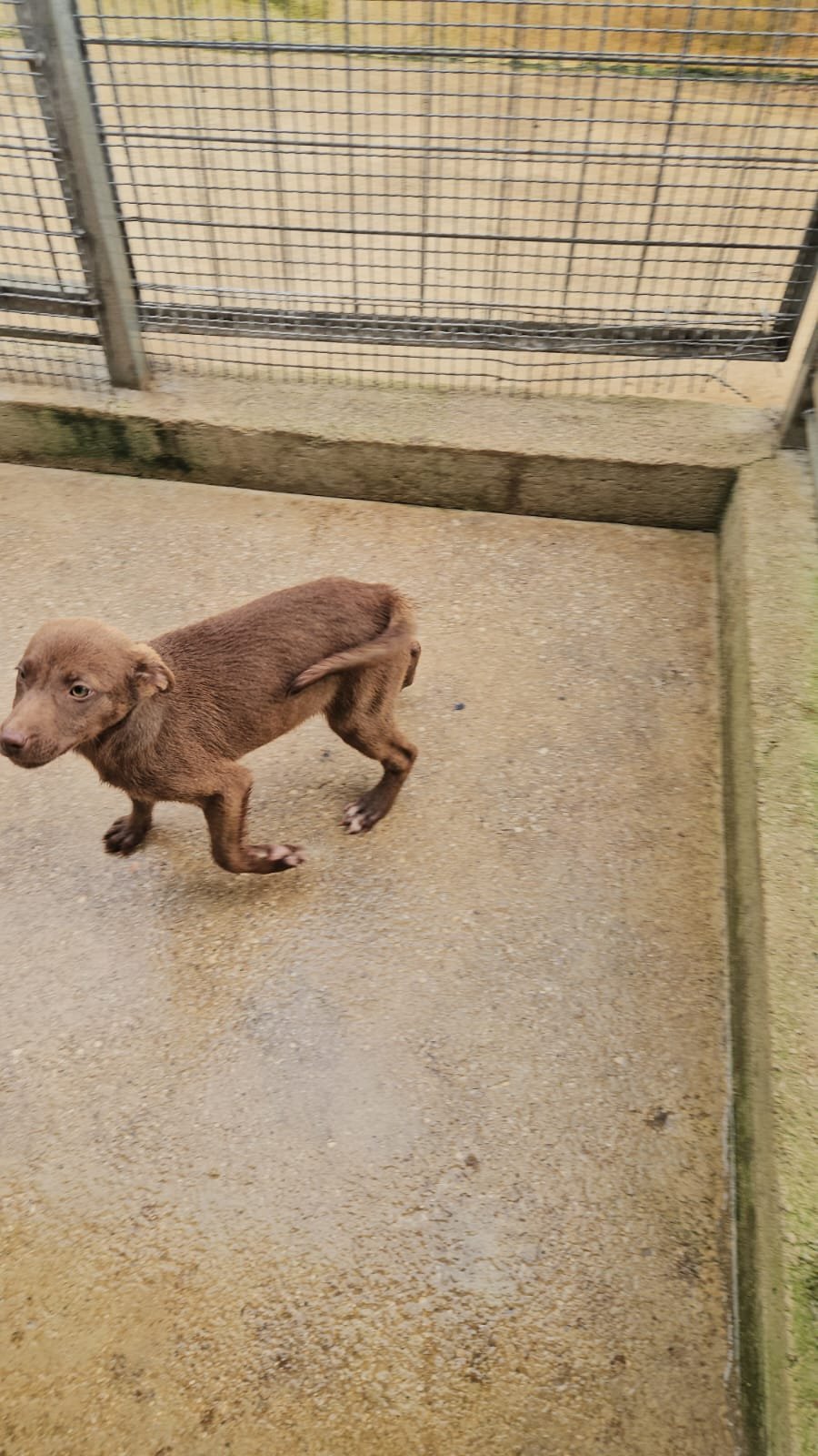 PHOTO-2026-04-09-09-43-31 3.jpg