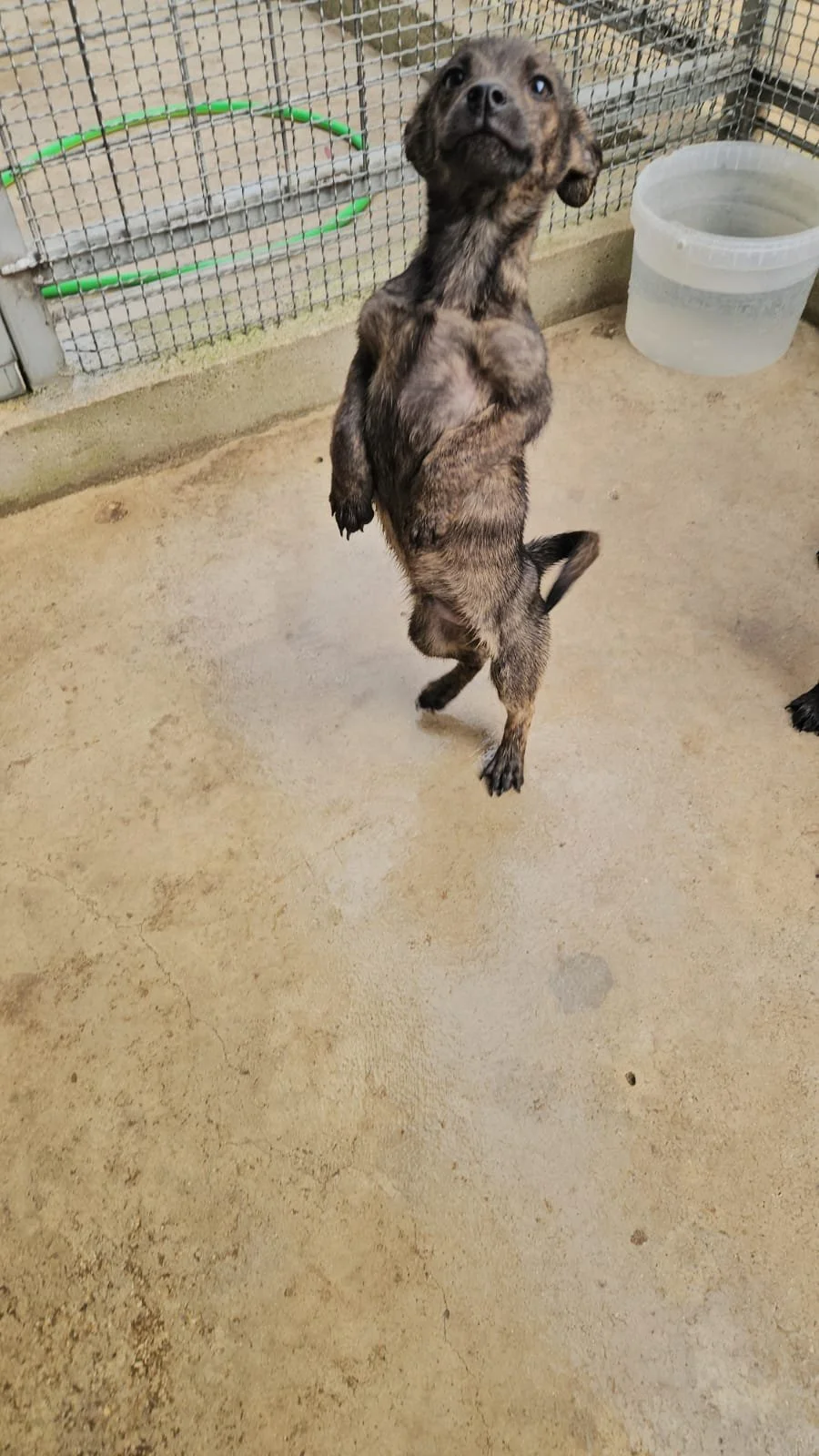 PHOTO-2026-04-09-09-38-10 3.jpg