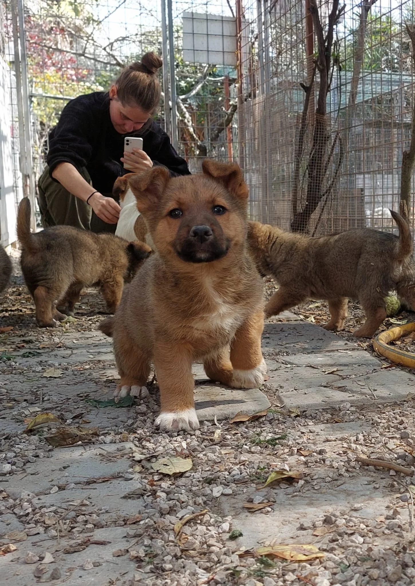 PHOTO-2026-03-11-14-16-01 2.jpg