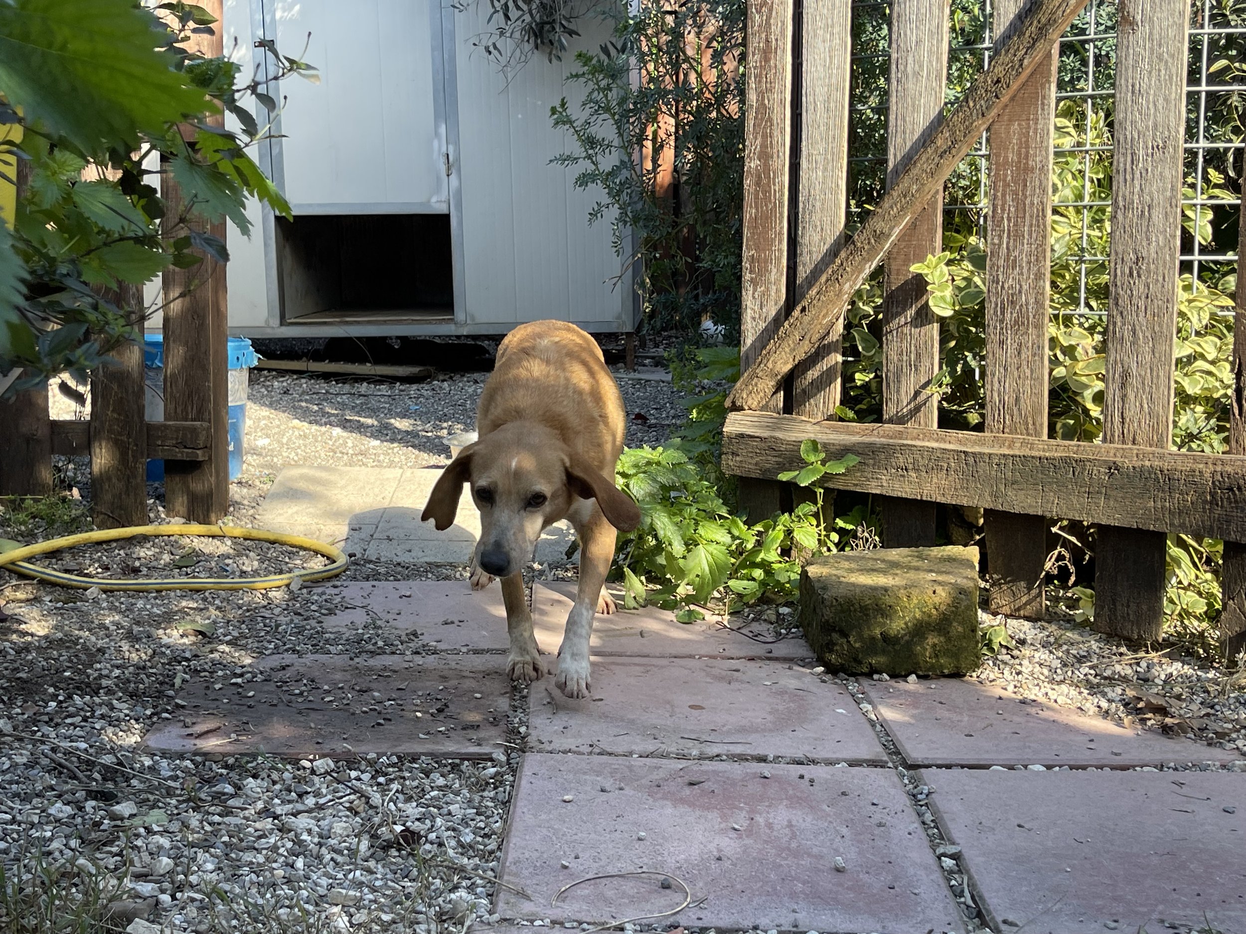 IMG_0046.jpeg