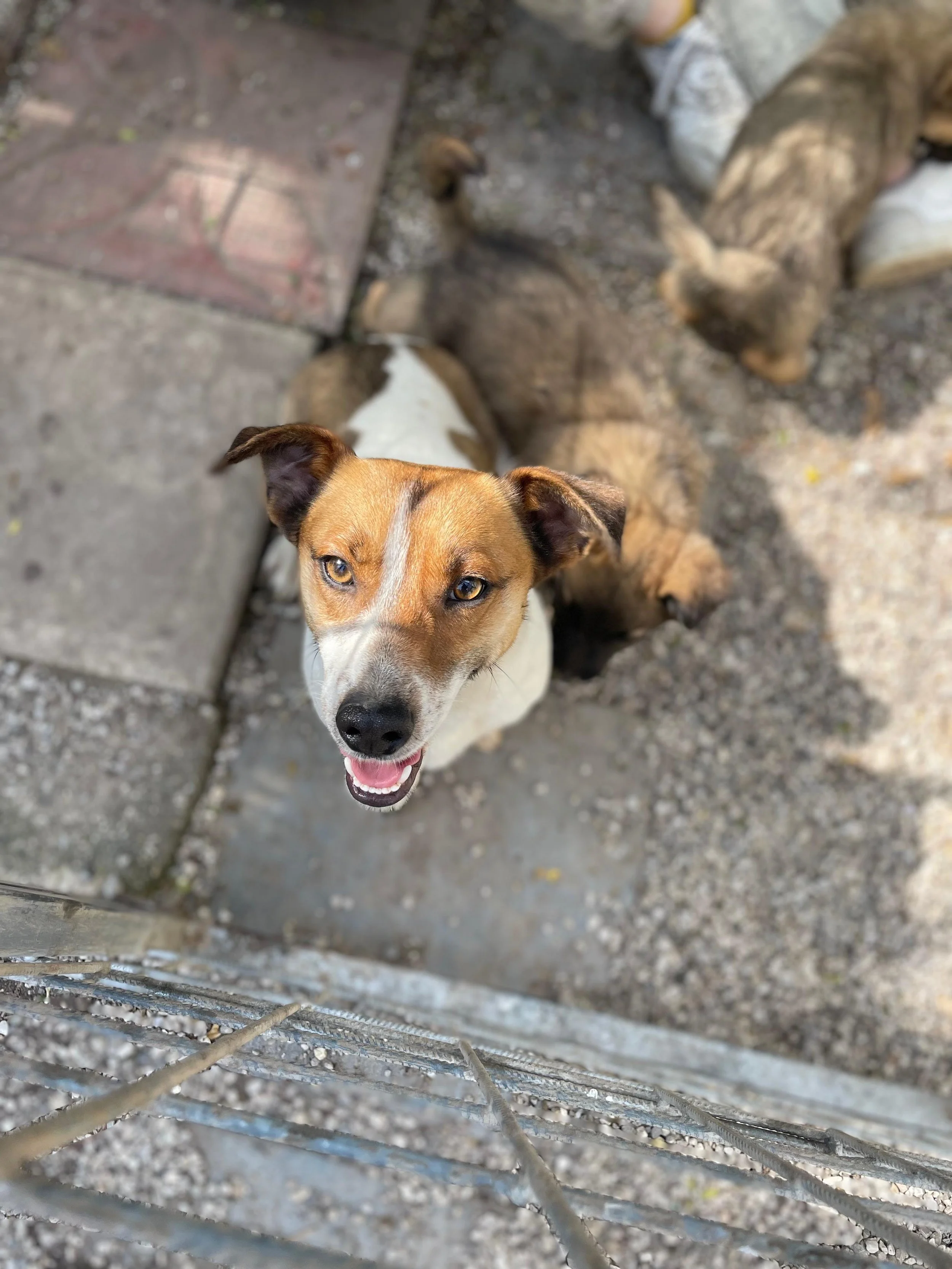 PHOTO-2026-03-11-14-26-18 5.jpg