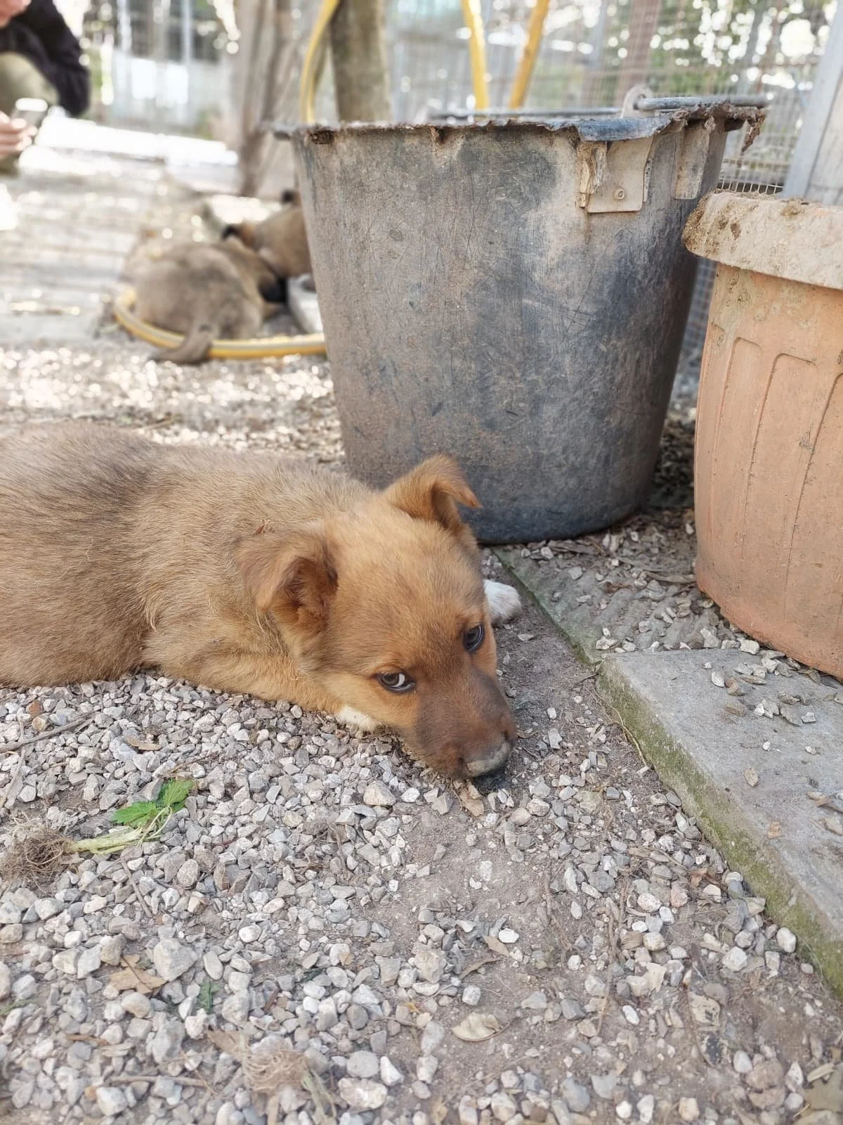 PHOTO-2026-03-11-14-16-02 2.jpg