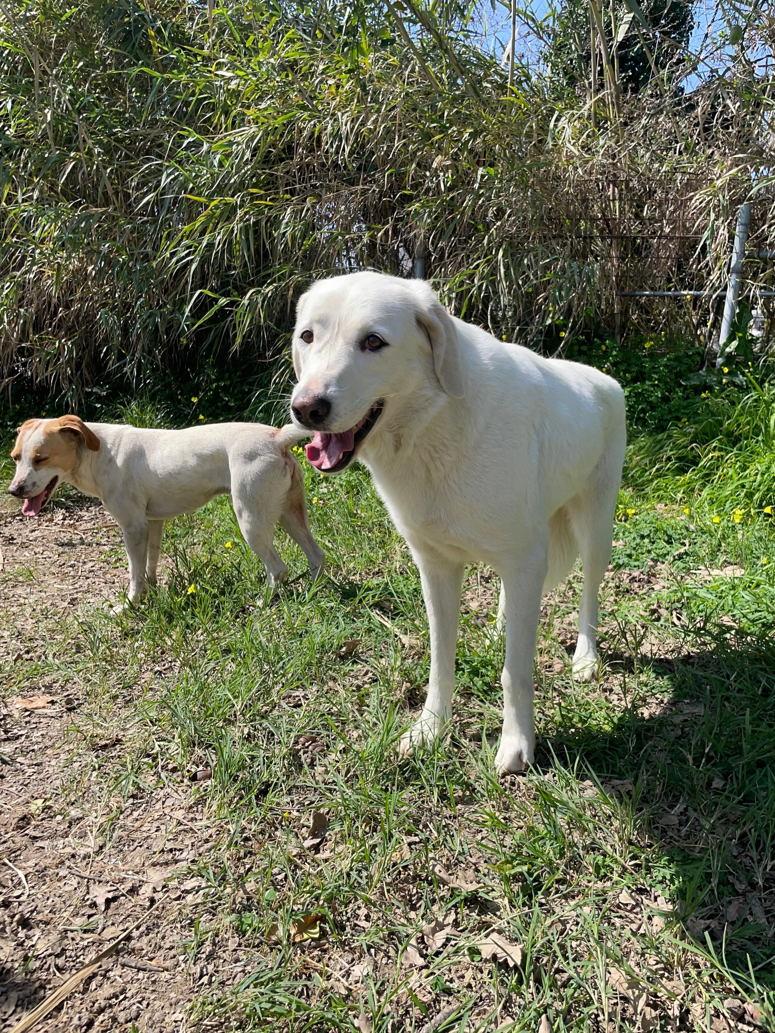 PHOTO-2026-03-15-19-10-45 2.jpg