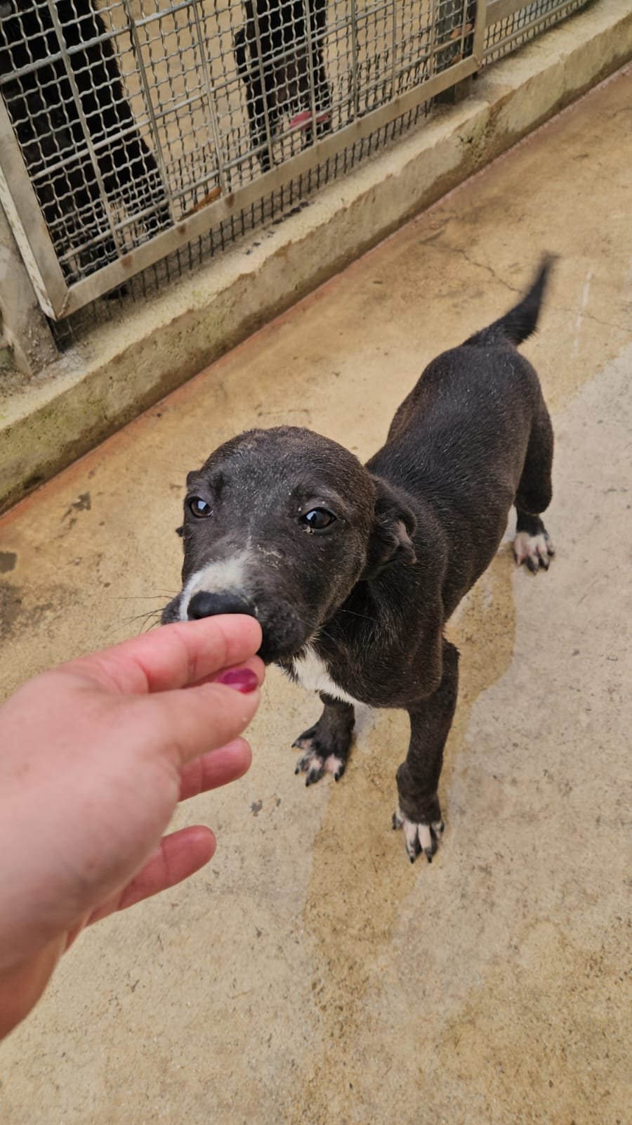 PHOTO-2026-04-09-09-33-18 2.jpg