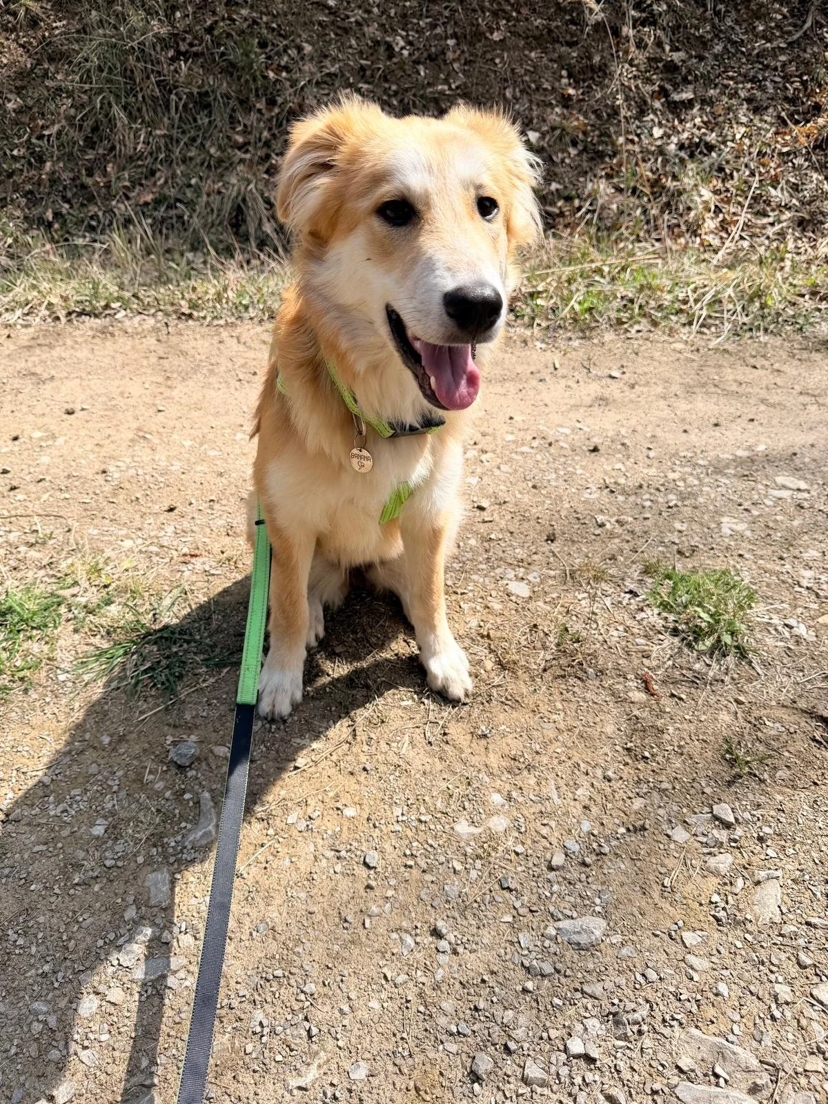 WhatsApp Image 2026-04-11 at 15.19.22 (3).jpeg