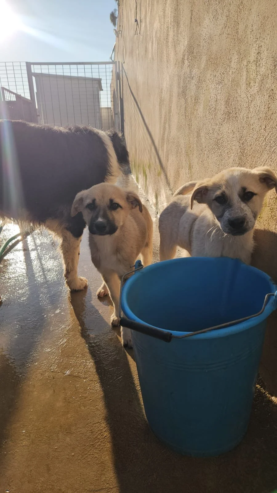 PHOTO-2026-02-02-08-56-46 2.jpg