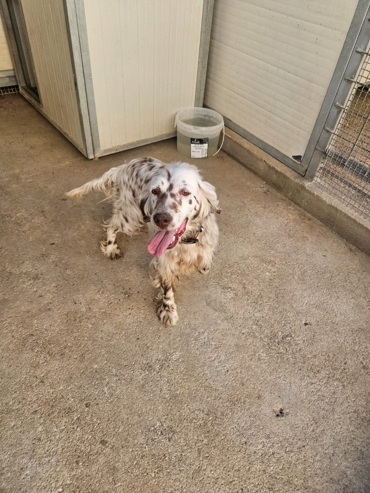 PHOTO-2026-04-27-18-32-14 2.jpg