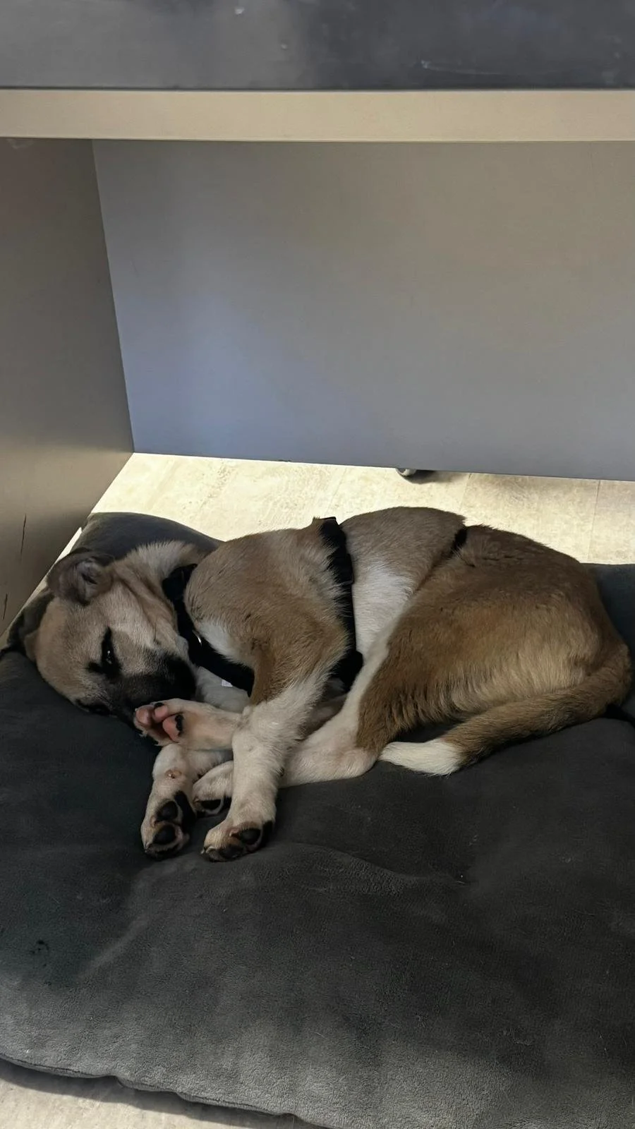 PHOTO-2026-03-14-10-29-06 3.jpg