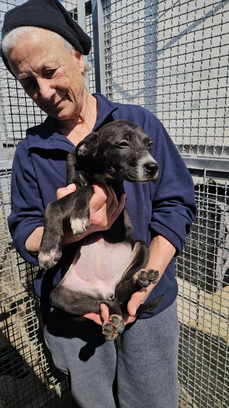 PHOTO-2026-03-20-12-45-59 2.jpg