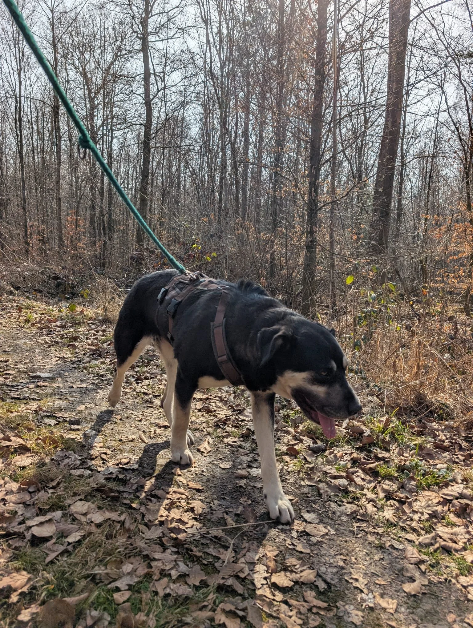 PHOTO-2026-04-14-09-43-46 2.jpg