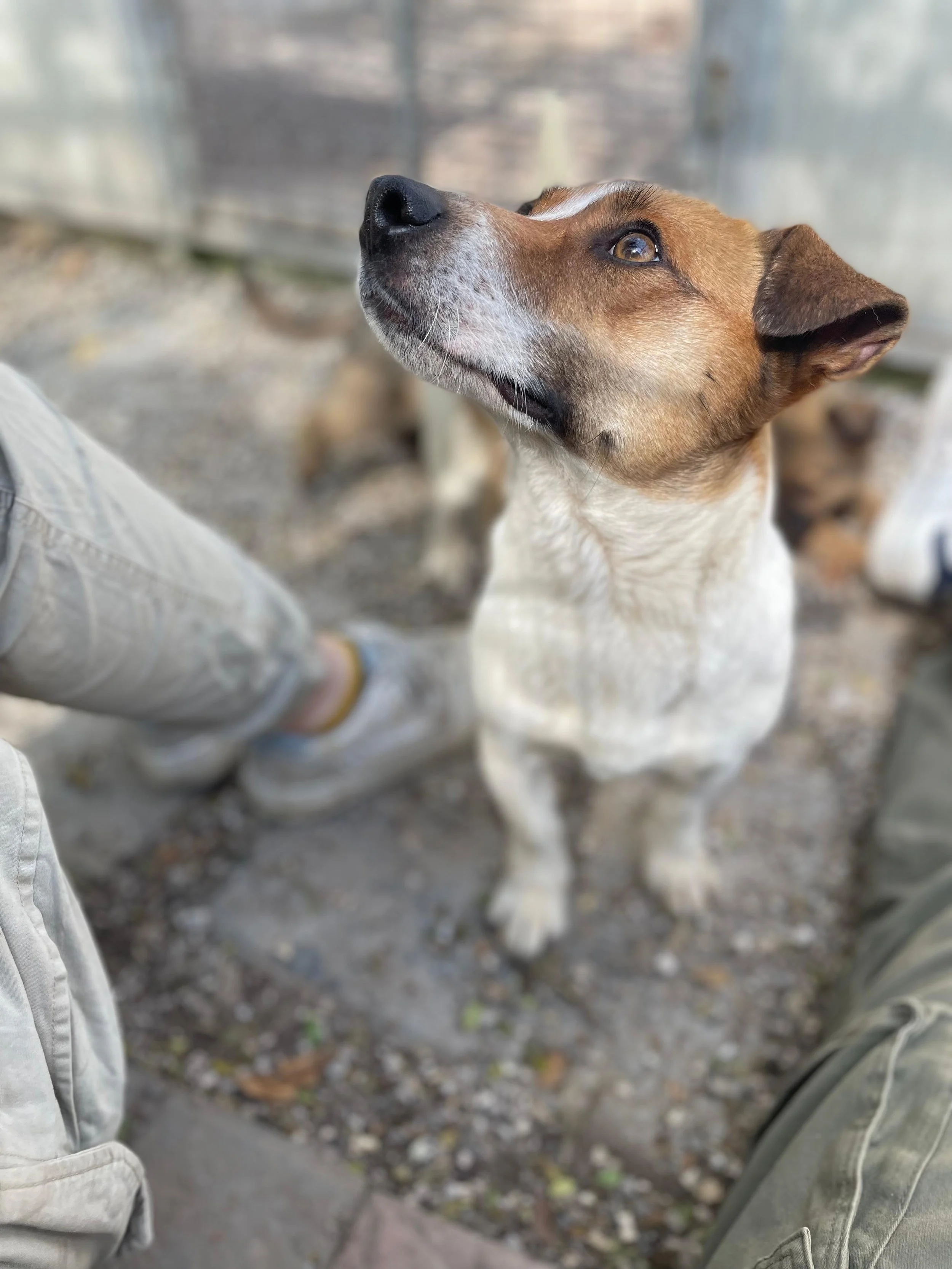 PHOTO-2026-03-11-14-26-18 2.jpg