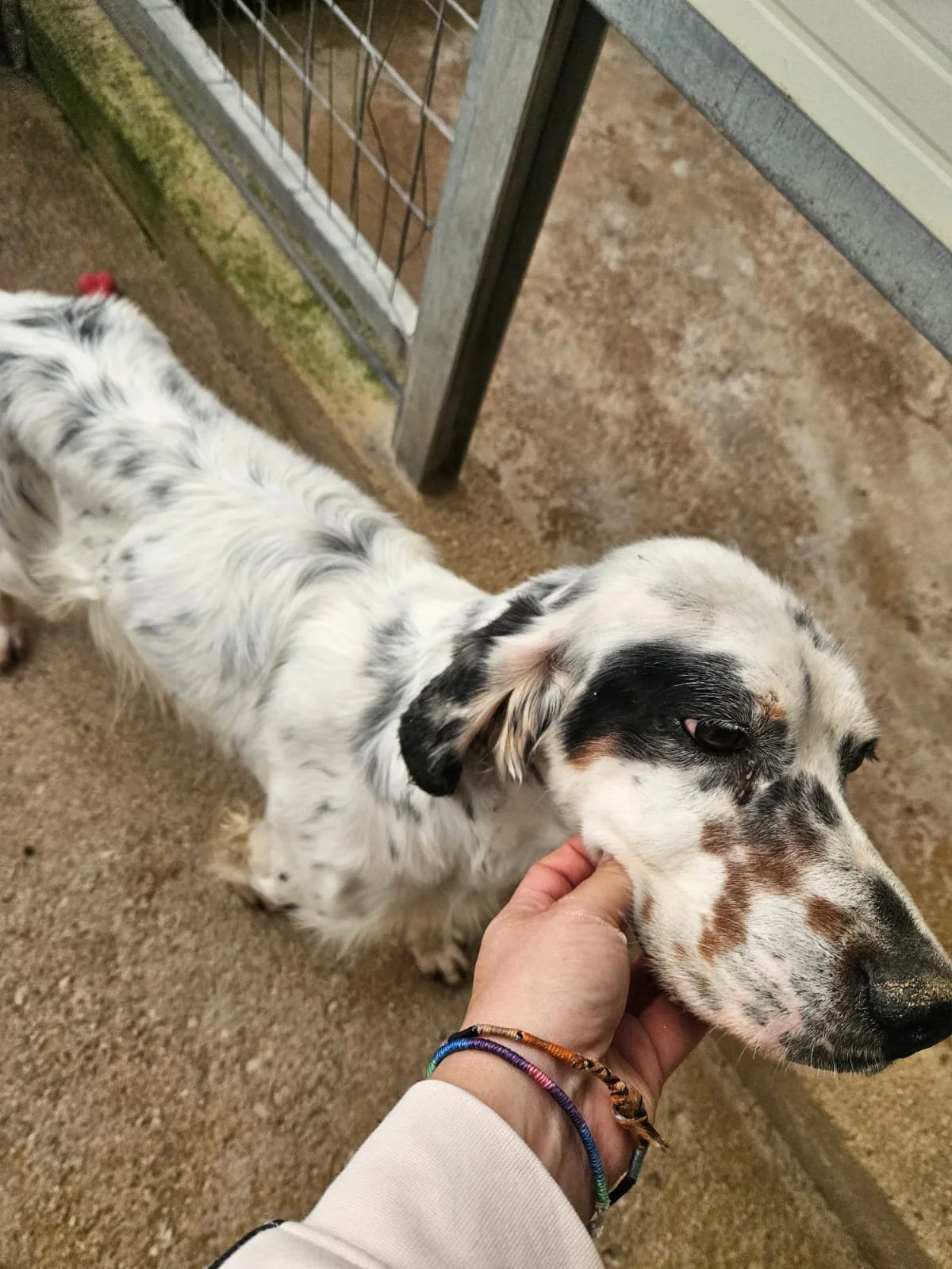 PHOTO-2025-12-15-14-01-16 3.jpg