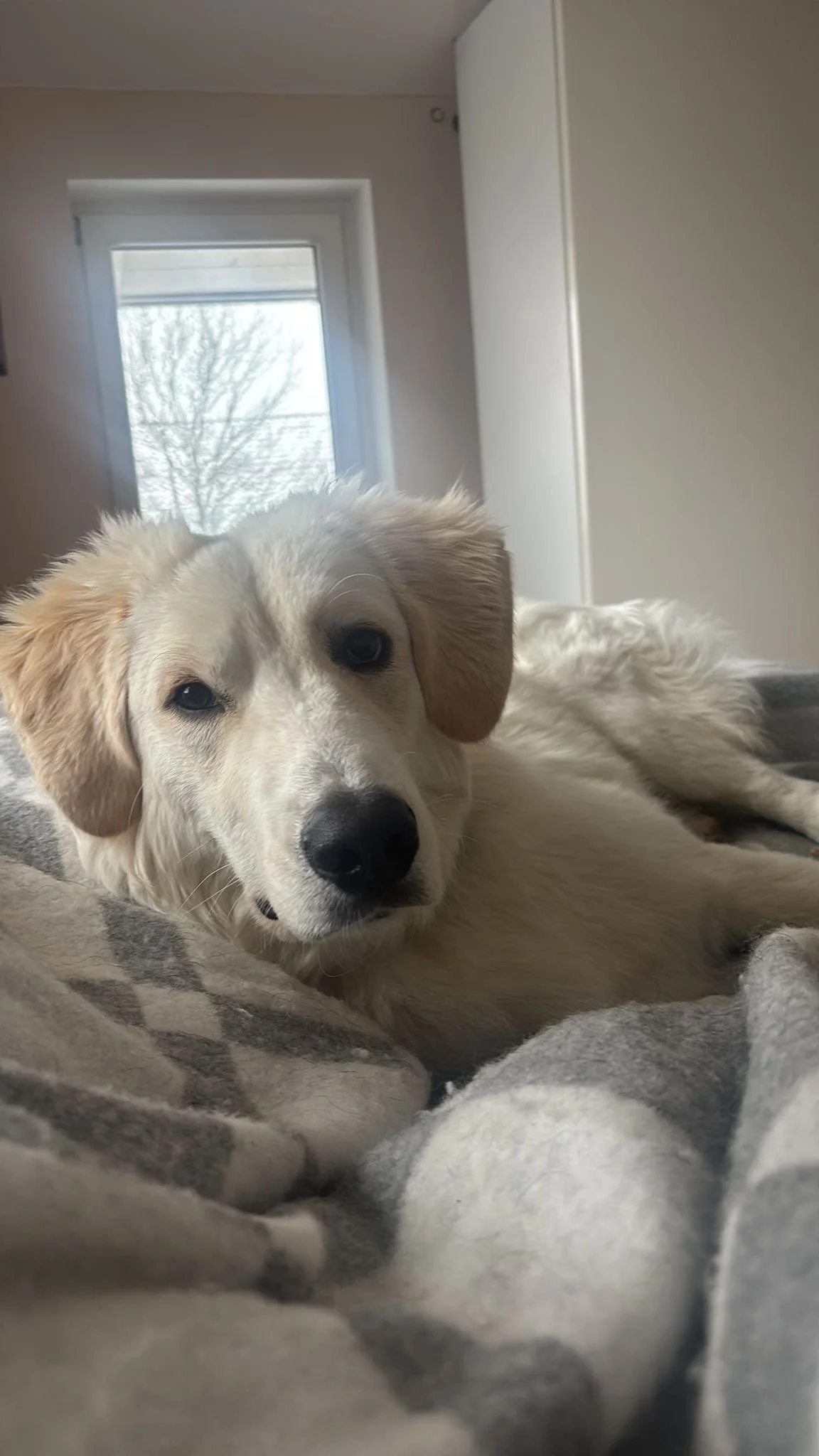 PHOTO-2025-12-15-09-54-00 2.jpg