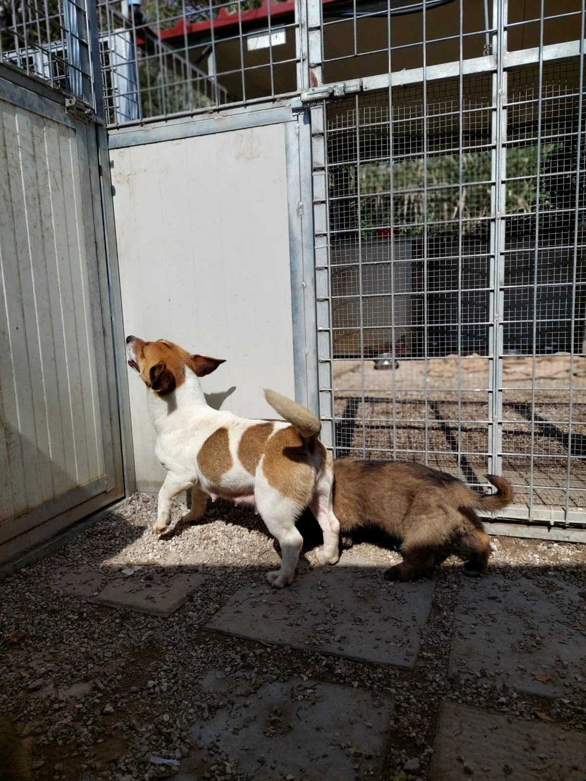 PHOTO-2026-03-11-14-28-49 2.jpg