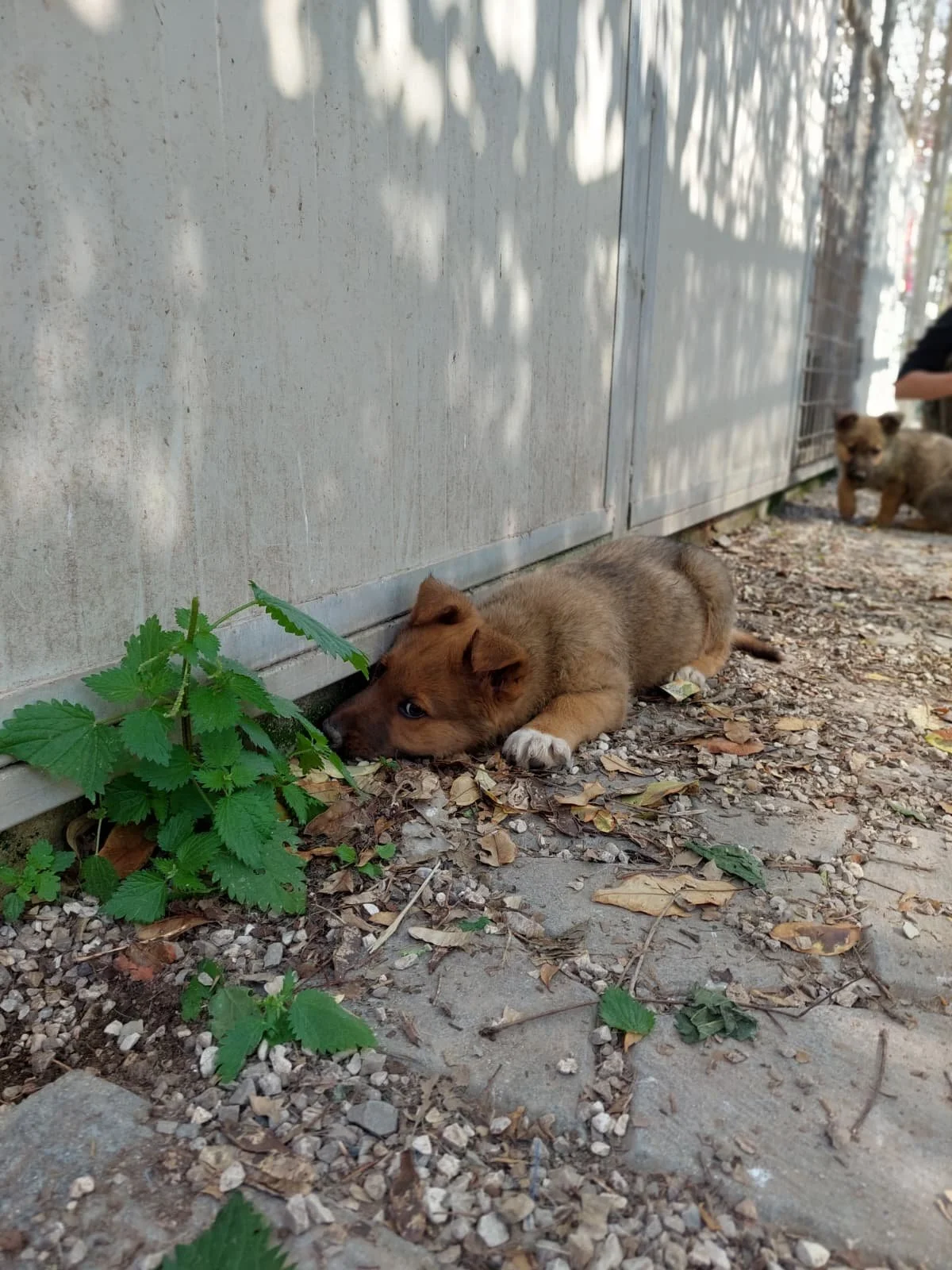 PHOTO-2026-03-11-14-16-01 4.jpg