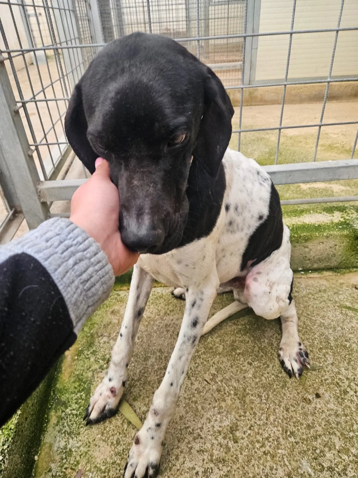 PHOTO-2026-01-28-10-42-22 2.jpg